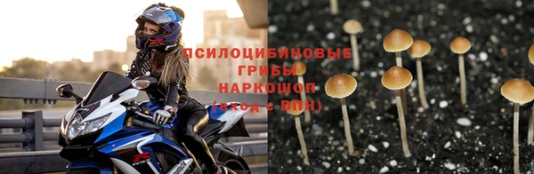 СК Армянск