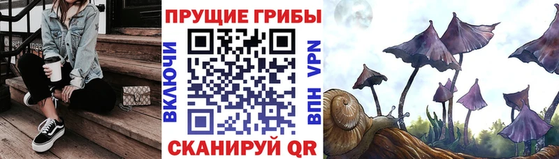 Псилоцибиновые грибы MAGIC MUSHROOMS  Купить закладки  Углегорск 